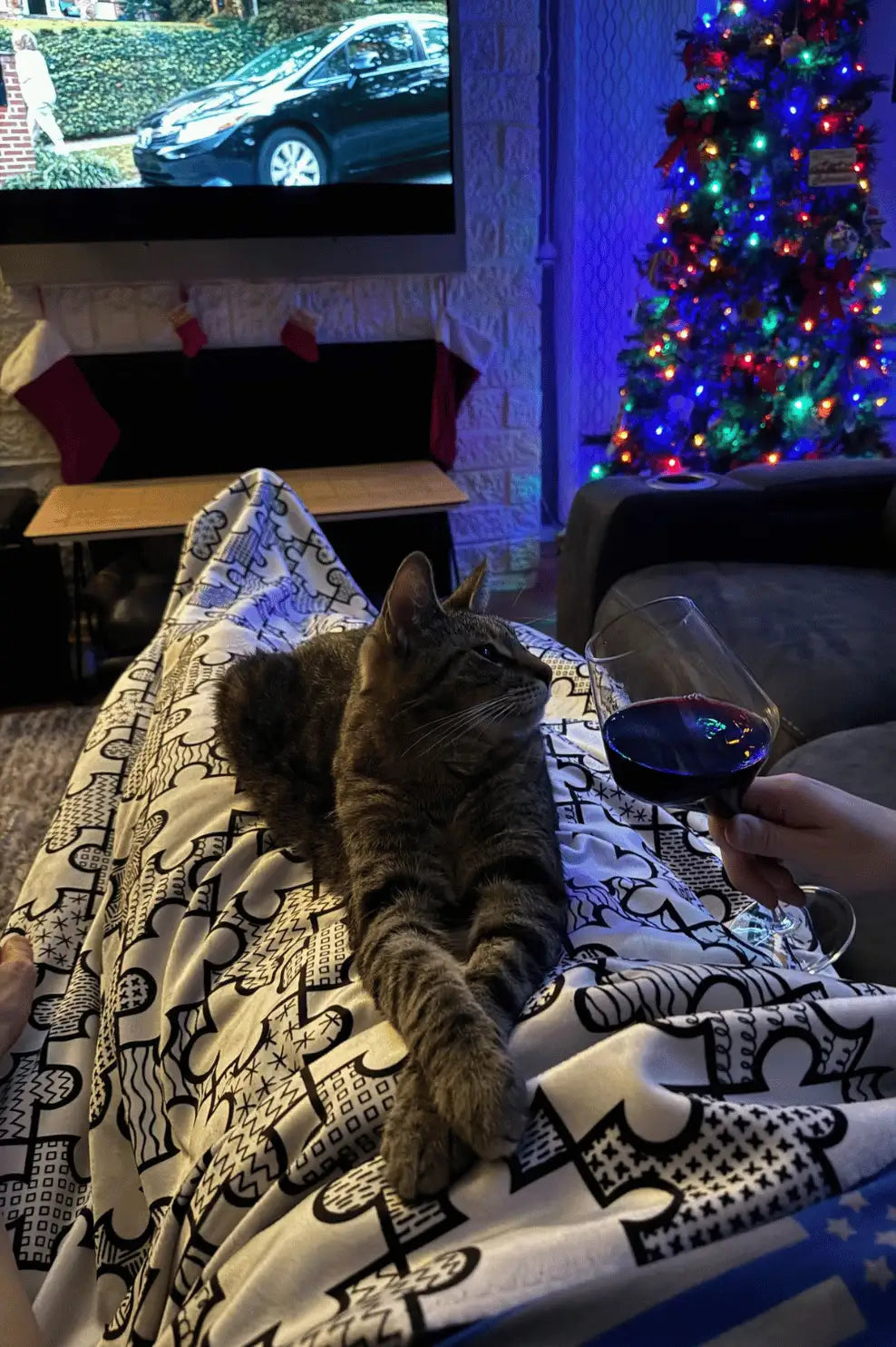 A tabby cat with striped fur lounges on a patterned blanket.